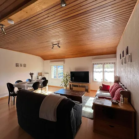 Logement Avec Vue Panoramique A 10Min Des Pistes Sauto Exterior photo